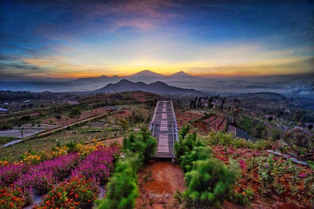 Silancur Highland adalah salah satu destinasi favorit dalam paket wisata Magelang