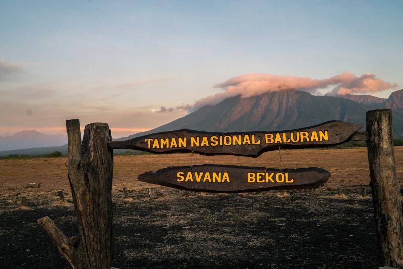 Taman Nasional Baluran
